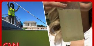 Interior dept says Reflecting Pool is 'crystal clear'