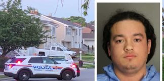Teacher charged in disturbing alleged murder of sister-in-law