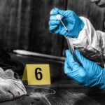Beheading in Florence By Immigrant Forensic investigator collecting a blood sample at a crime scene