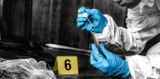 Beheading in Florence By Immigrant Forensic investigator collecting a blood sample at a crime scene