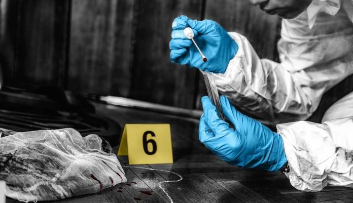 shutterstock_2268734673 Forensic investigator collecting a blood sample at a crime scene