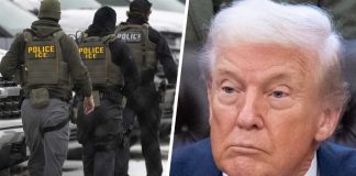 Feds Track Dad After Fiery Email A man emailed DHS criticizing its immigration crackdown – 5 months later agents knocked on his door