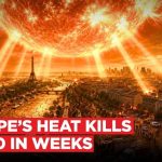 Silent Heatwave Body Count 10,000 Dead In Europe's Heatwave | Scientists Say Extreme Heat Left Elderly Defenceless | VERTEX