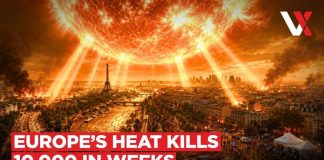 Silent Heatwave Body Count 10,000 Dead In Europe's Heatwave | Scientists Say Extreme Heat Left Elderly Defenceless | VERTEX
