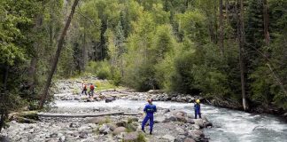 Chain Drowning Horror Near Columbus Zoo Rescue workers in helmets standing along a fast-flowing forest river