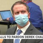 Why Elon Musk Says Derek Chauvin Should Be FREED Why Elon Musk Says Derek Chauvin Should Be FREED