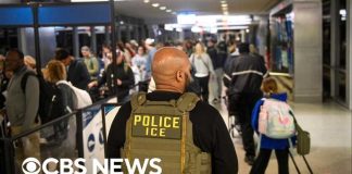 Airport immigration arrests climb as result of increased ICE-TSA collaboration, sources say
