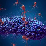 Bacteriophage viruses attacking a bacterium