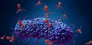 How Scientists Are Using AI to Create New Deadly Viruses Bacteriophage viruses attacking a bacterium
