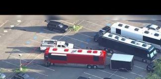 Tour Bus Death Halts Rock Show Wolf Trap Accident: Worker Dies After Being Crushed by Tour Bus Before Concert