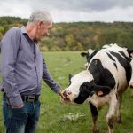 Man petting a black-and-white cow in a grassy field