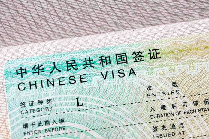 Chinese visa document close-up