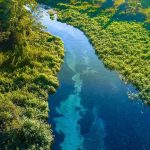 Endangered Protections Gutted – Intent Now Rules Aerial view of a clear blue river winding through lush green vegetation