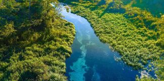 Endangered Protections Gutted – Intent Now Rules Aerial view of a clear blue river winding through lush green vegetation