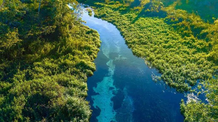 shutterstock_2242571843 Aerial view of a clear blue river winding through lush green vegetation