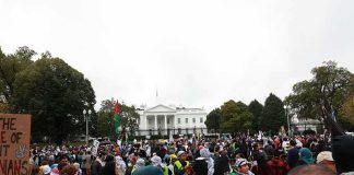 Protesters Hit Washington as Trump Hosts Xi Walter Jones among protesters in front of the White House