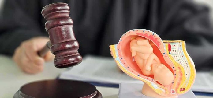 shutterstock_2807068943 Judge's gavel beside a fetal model of a pregnant uterus