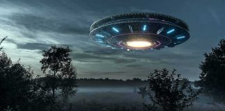 FBI Agents Watched a Craft VANISH UFO hovers over misty forest at night