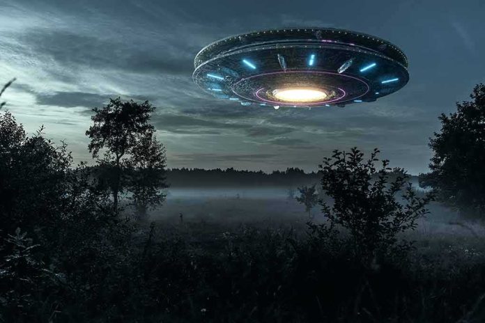 UFO hovers over misty forest at night