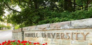 Cornell Promises DEEP Review After Assault Claims Cornell University stone entrance sign with red flowers