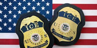 House Democrat’s Plan to ERASE ICE ICE badges on an American flag background